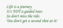 Life is a journey.It's NOT a guided tour.So don't miss the ride.You don't get a second shot at it!