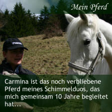 Mein Pferd Carmina ist das noch verbliebene Pferd meines Schimmelduos, das mich gemeinsam 10 Jahre begleitet hat...