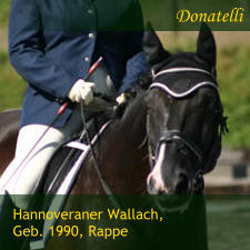 Hannoveraner Wallach, Geb. 1990, Rappe Donatelli