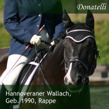 Hannoveraner Wallach, Geb. 1990, Rappe Donatelli