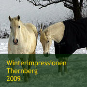 Winterimpressionen Thernberg  2009