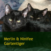 Merlin & Ninifee Gartentiger