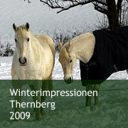 Winterimpressionen Thernberg  2009