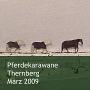 Pferdekarawane Thernberg  März 2009