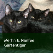 Merlin & Ninifee Gartentiger