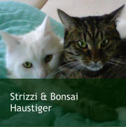 Strizzi & Bonsai Haustiger